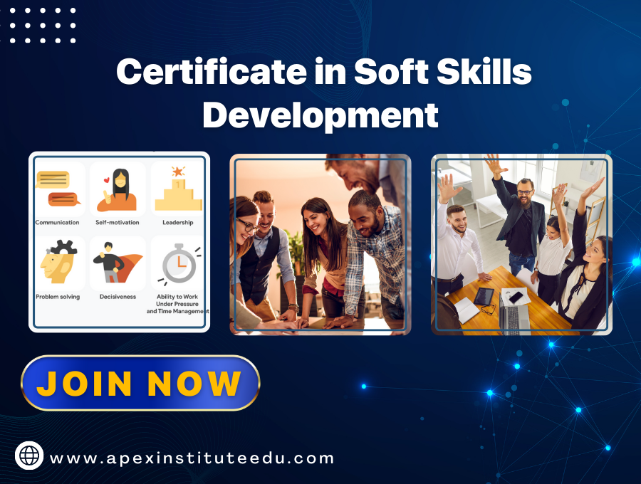 Certificate in soft skills development